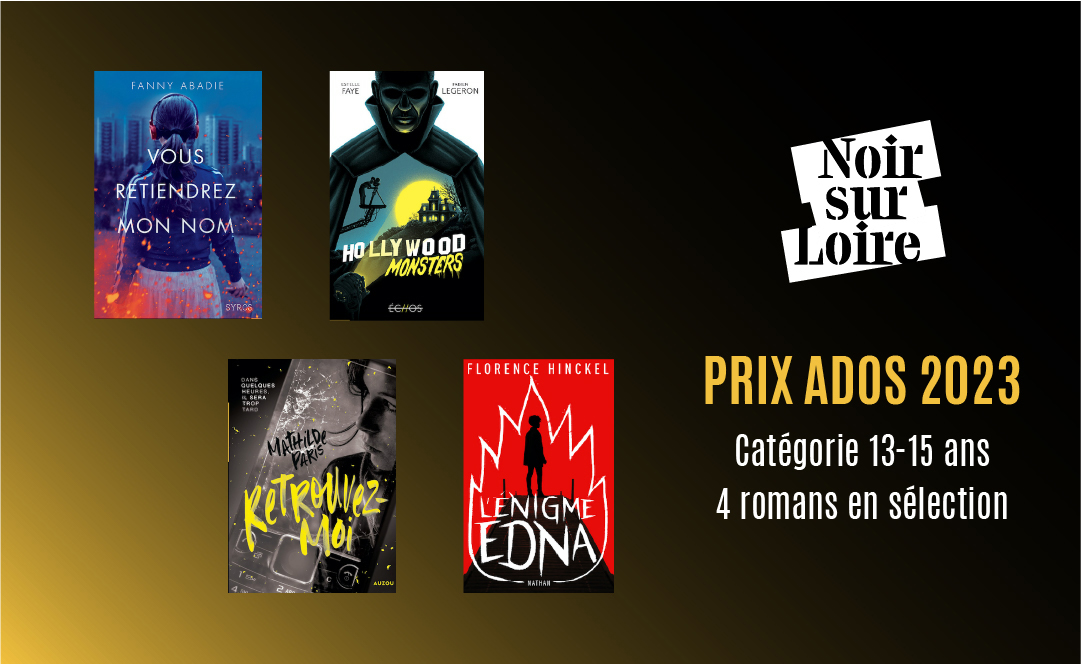 mise en situation du logo Noir sur Loire dans le cadre des prix littéraire ados 2023 dans la région Pays de la Loire