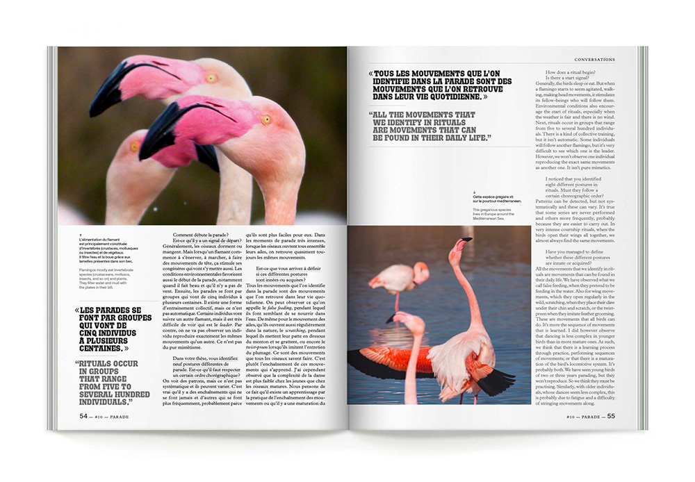 double page de cercle magazine avec des flaments roses présetant la typo créée sur mesure en anglais et en français dans la mise en pages